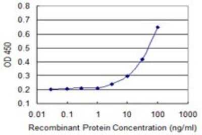 ELISA: Aquaporin-8 Antibody (1A1) [H00000343-M01]