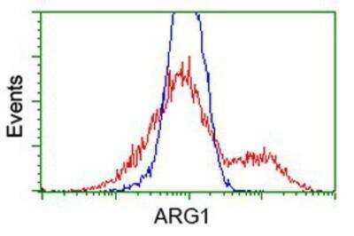 Flow Cytometry: Arginase 1/ARG1/liver Arginase Antibody (OTI4E6) [NBP2-03618]