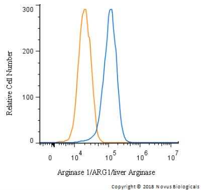 Flow Cytometry: Arginase 1/ARG1/liver Arginase Antibody - BSA Free [NBP1-32731]