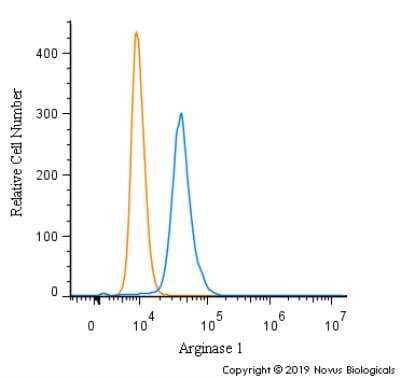 Flow Cytometry: Arginase 1/ARG1/liver Arginase Antibody - BSA Free [NBP1-32731]