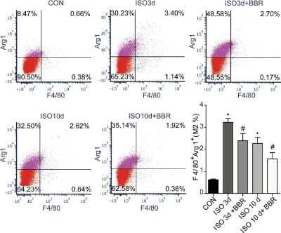 Flow Cytometry: Arginase 1/ARG1/liver Arginase Antibody - BSA Free [NBP1-32731]