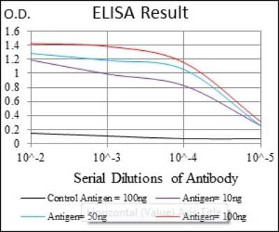 ELISA: Argininosuccinate Synthase Antibody (2B10) - BSA Free [NBP2-37520]