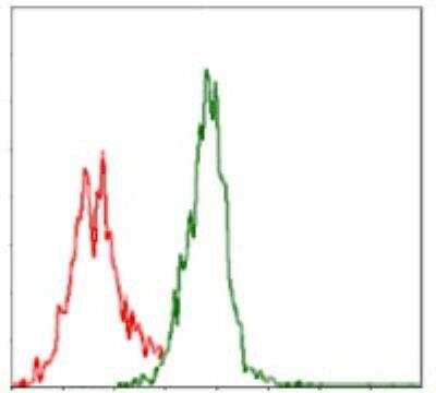 Flow Cytometry: Argininosuccinate Synthase Antibody (2B10) - BSA Free [NBP2-37520]