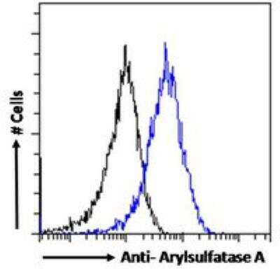 Flow Cytometry: Arylsulfatase A/ARSA Antibody [NBP1-00154]