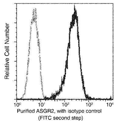 Flow Cytometry: Asialoglycoprotein Receptor 2 Antibody (002) [NBP3-06211]