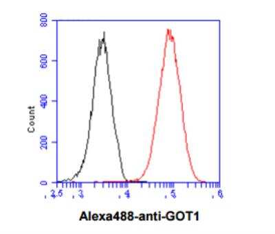 Flow Cytometry: Aspartate Aminotransferase Antibody (3G11) - BSA Free [NBP2-59483]