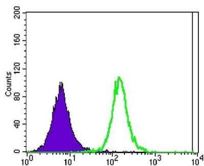 Flow Cytometry: Ataxin 1 Antibody (2F5) - BSA Free [NBP1-51689]