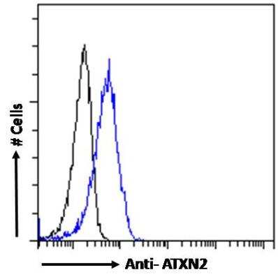 Flow Cytometry: Ataxin-2 Antibody [NBP2-76807]