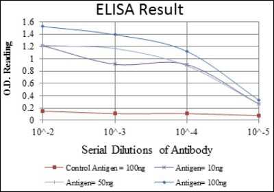 ELISA: Aurora A Antibody (1F8) - Azide and BSA Free [NBP2-80587]