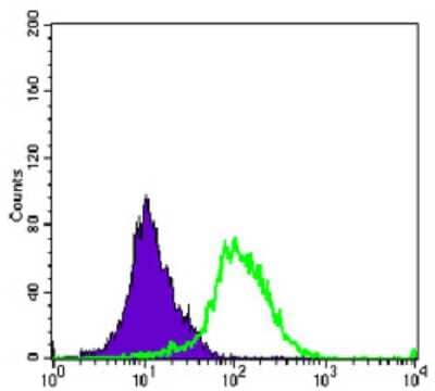 Flow Cytometry: Aurora A Antibody (1F8) - BSA Free [NBP2-22118]