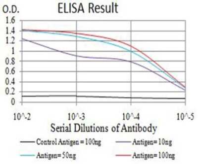 ELISA: Aurora A Antibody (4H5A8) - BSA Free [NBP2-61694]