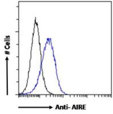 Flow Cytometry: Autoimmune Regulator/AIRE Antibody [NB100-1063]