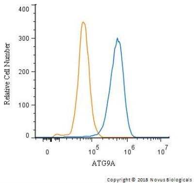 Flow Cytometry: Autophagy Antibody Pack [NB910-94877]
