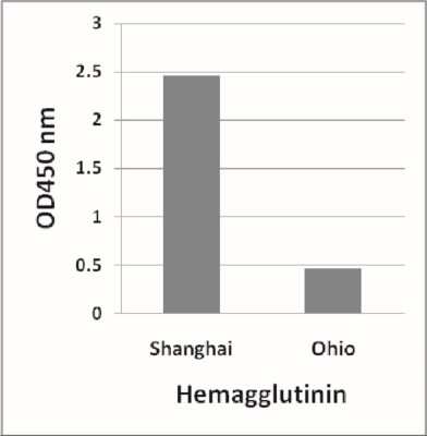 ELISA: Avian Influenza A H7N9 Hemagglutinin Antibody - (A/Shanghai/02/2013) - BSA Free [NBP2-41275]