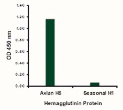 ELISA: Avian Influenza A H5N1 Hemagglutinin Antibody - BSA Free [NBP2-41069]