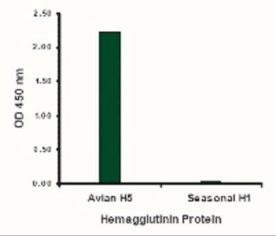 ELISA: Avian Influenza A H5N1 Hemagglutinin Antibody - BSA Free [NBP2-41064]
