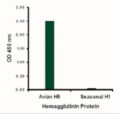 ELISA: Avian Influenza A H5N1 Hemagglutinin Antibody - BSA Free [NBP2-41065]