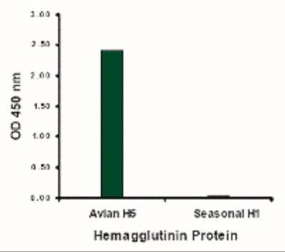 ELISA: Avian Influenza A H5N1 Hemagglutinin Antibody - BSA Free [NBP2-41066]