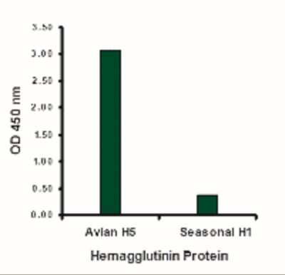ELISA: Avian Influenza A H5N1 Hemagglutinin Antibody - BSA Free [NBP2-41050]