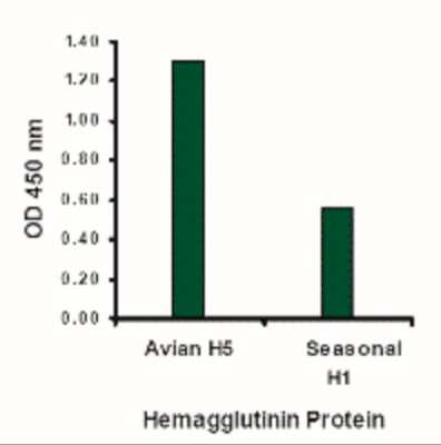 ELISA: Avian Influenza A H5N1 Hemagglutinin Antibody - BSA Free [NBP2-41051]
