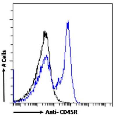 Flow Cytometry: B220/CD45R Antibody (RA3-6B2) - Chimeric - Azide and BSA Free [NBP3-11980]