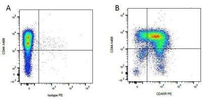 Flow Cytometry: B220/CD45R Antibody (YKIX753.22.2) - BSA Free [NB100-65018]