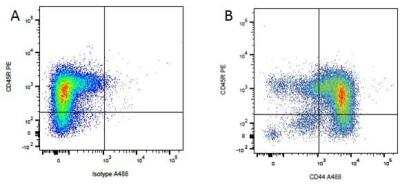 Flow Cytometry: B220/CD45R Antibody (YKIX753.22.2) - BSA Free [NB100-65018]