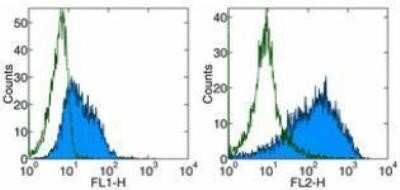 Flow Cytometry: B7-1/CD80 Antibody (16-10A1) - BSA Free [NBP1-43385]