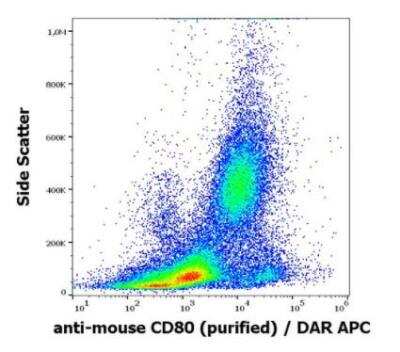 Flow Cytometry: B7-1/CD80 Antibody (16-10A1) - Low Endotoxin, Azide and BSA Free [NBP3-05756]