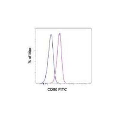 Flow Cytometry: B7-1/CD80 Antibody (2D10.4) [NBP1-43384]