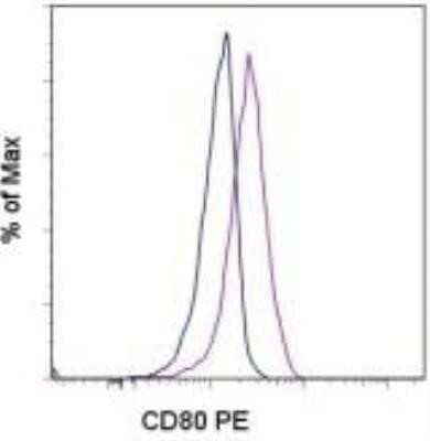 Flow Cytometry: B7-1/CD80 Antibody (2D10.4) [NBP1-43384]