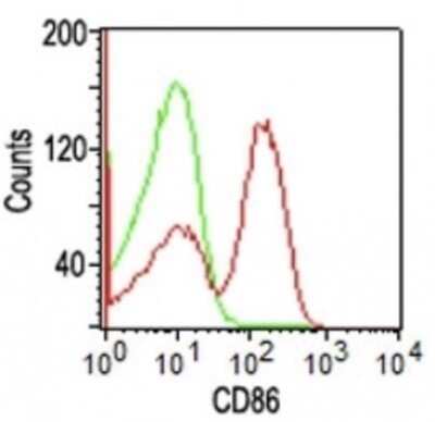 Flow Cytometry: B7-2/CD86 Antibody (BU63) - Azide and BSA Free [NBP2-34569]