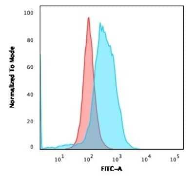 Flow Cytometry: B7-2/CD86 Antibody (BU63) [NBP2-25208]