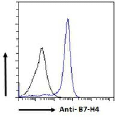 Flow Cytometry: B7-H4 Antibody [NBP1-06096]