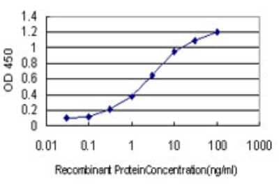 ELISA: BACE-1 Antibody (2C1) [H00023621-M01]