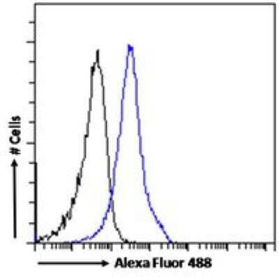 Flow Cytometry: BAF53A Antibody [NB100-1421]
