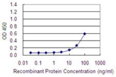 ELISA: BAMBI/NMA Antibody (3C1-1D1) [H00025805-M01]