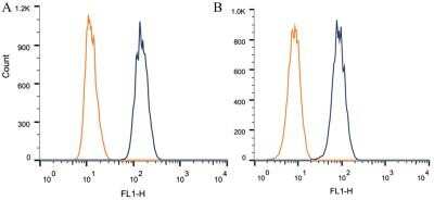 Flow Cytometry: BAP1 Antibody (1G8) - Azide and BSA Free [NBP2-80589]