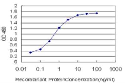 ELISA: BATF Antibody (1G4) [H00010538-M03]