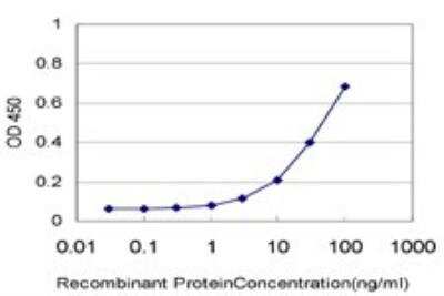 ELISA: BATF Antibody (8A12) [H00010538-M01]
