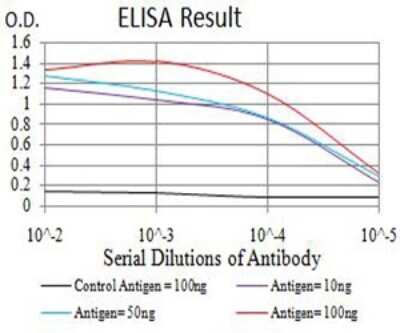 ELISA: BCAT2 Antibody (7G3A11) - BSA Free [NBP2-61699]