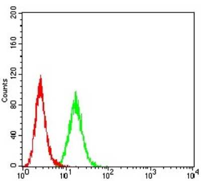 Flow Cytometry: BCAT2 Antibody (7G3A11) - BSA Free [NBP2-61699]