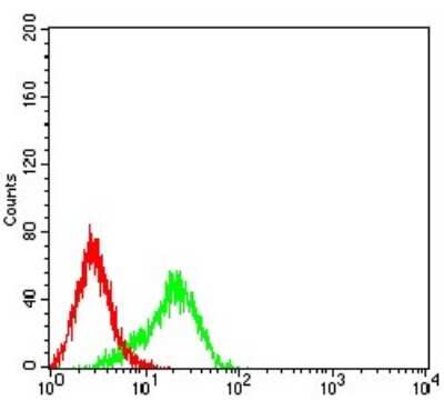 Flow Cytometry: BCL-W/BCL2L2 Antibody (4G12E6) - BSA Free [NBP2-61706]