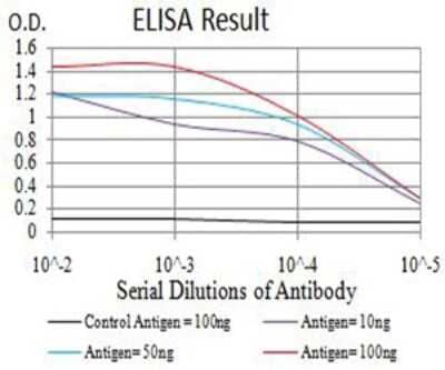 ELISA: BCL11B Antibody (1F8G8) - BSA Free [NBP2-61702]