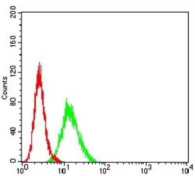 Flow Cytometry: BCL11B Antibody (1F8G8) - BSA Free [NBP2-61702]
