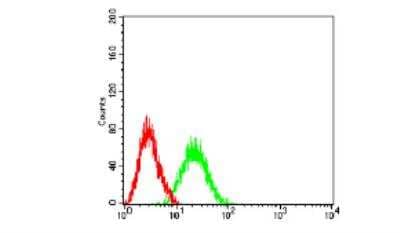 Flow Cytometry: BCL11B Antibody (1F8G8) - BSA Free [NBP2-61702]
