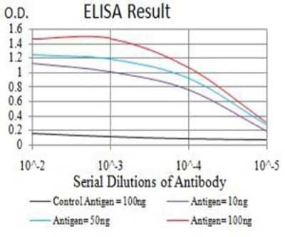 ELISA: BCL11B Antibody (1F8H9) - BSA Free [NBP2-61700]