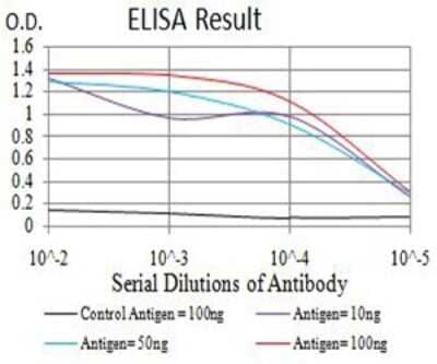 ELISA: BCL2L10 Antibody (8A11G12) - BSA Free [NBP2-61704]