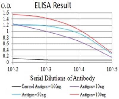 ELISA: BCL9-2 Antibody (1C9G2) - BSA Free [NBP2-61705]