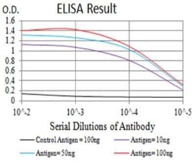ELISA: BCL9-2 Antibody (3B9C1) - BSA Free [NBP2-61823]